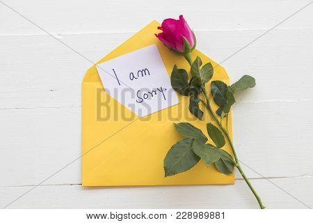 I Am Sorry Message Card In Yellow Envelope With Pink Rose On White
