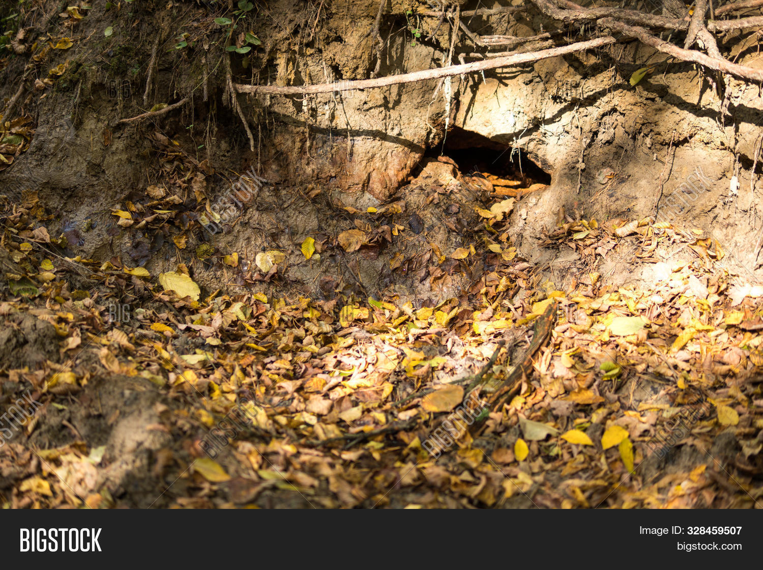 Natural Spring On Image & Photo (Free Trial) | Bigstock