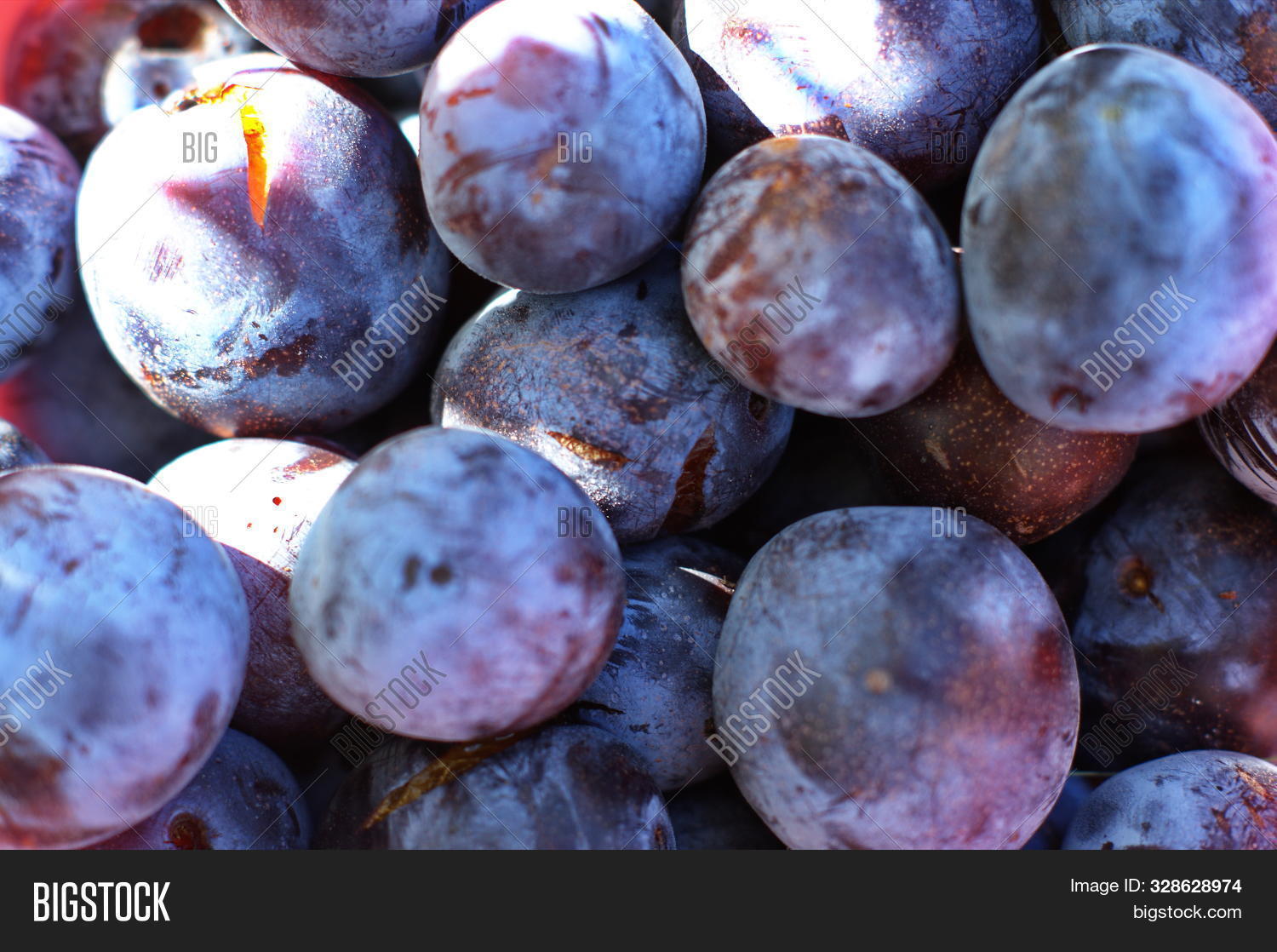 Imagen y foto Blue Plum Fruits. (prueba gratis) Bigstock