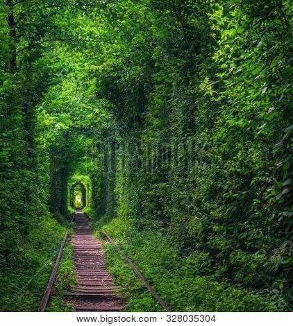 Magic Tunnel Of Love Near Klevan, Ukraine. Green Trees And Old Railway Line