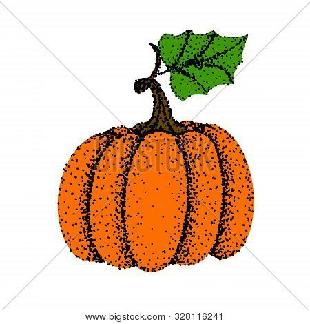 Drawing Of Pumpkin - Hand Sketch, Colorful Illustrtation
