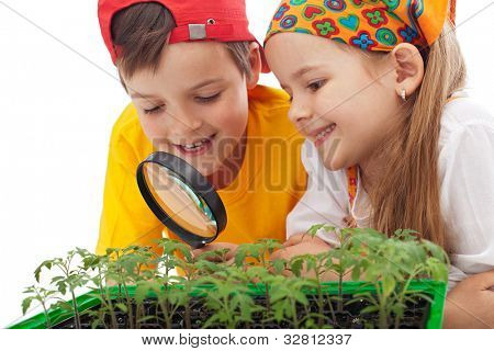 Děti učí pěstovat potraviny - environmentální osvěty