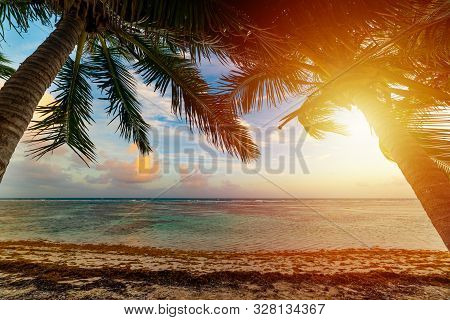 Sun Shining Over Bois Jolan Beach At Sunset In Guadeloupe, French West Indies. Lesser Antilles, Cari
