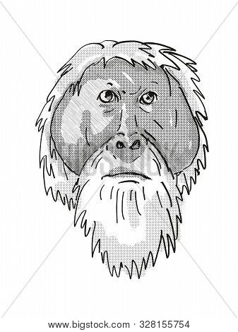 Retro Cartoon Style Drawing Of Head Of An Tapanuli Orang-utan Or Pongo Tapanuliensis , An Endangered
