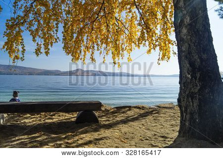 Idyllic Lake Turgoyak, View From Behind An Autumn Tree With Yellow Leaves.