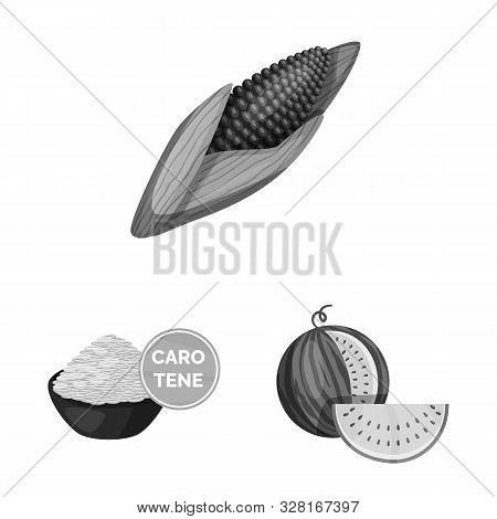 Isolated Object Of Transgenic And Organic Symbol. Collection Of Transgenic And Synthetic Vector Icon