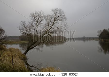 Beautiful Polish Autumn Cold Gray Cloudy November Landscape Of Podlasie With The River Bug
