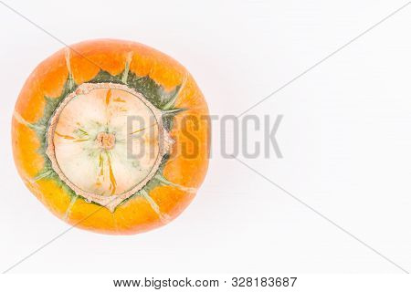 Trendy Ugly Organic Farm Double Mutation Pumpkin On White Background. Concept Non-waste Production I