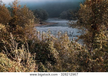 Gloomy Autumn Scene With The Olt River And Red Leaves