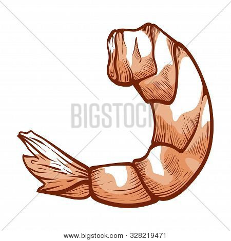 Shrimp Icon, Healthy Gourme Restaurant Ingredient For Snack