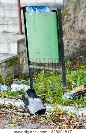 Dead Crow. Ecological Disturbance For Animals. Dead Crow In The Grass. Dead Black Bird On The Lawn, 