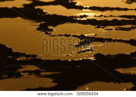Rock Pools Filled With Liquid Sunset Gold, Mossel Bay, South Africa