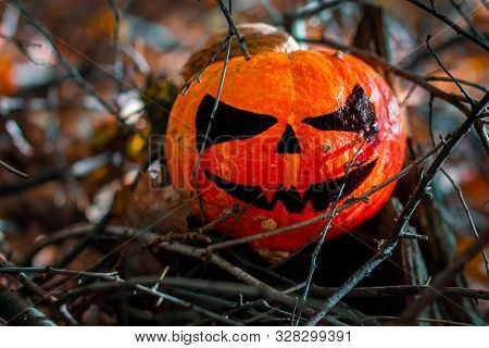 Halloween Pumpkin In The Forest. Scary Pumpkin Decorations With Creepy Toothy Smile At Wood Backgrou