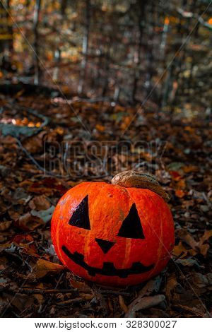 Halloween Pumpkin In The Forest. Scary Pumpkin Decorations With Creepy Toothy Smile At Wood Backgrou