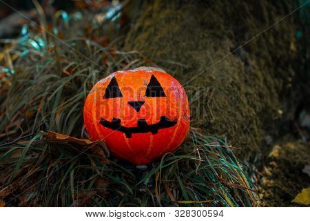 Halloween Pumpkin In The Forest. Scary Pumpkin Decorations With Creepy Toothy Smile At Wood Backgrou