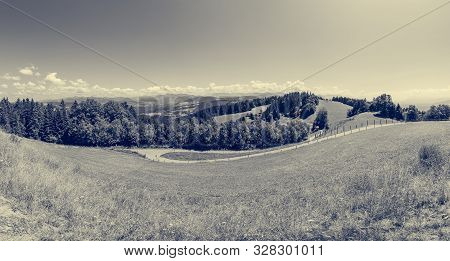 Spectacular Countryside Panorama In Sunny Weather With Green Pastures.