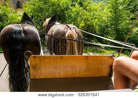 Riding A Carriage Pulled By A Pair Of Horses.