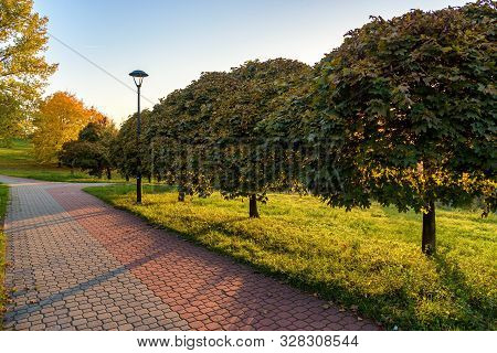 Beautiful Colors Of Autumn In The Park At Sunset