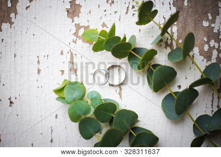 Wedding Rings On A White Table With Old Eucalyptus Twig, Close-up