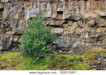 Summer landscape in Pingvellir National Park, Iceland, Europe