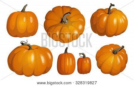 Orange Pumpkin Isolated On White. Realistic Vector Pumpkins. Set Of Orange Pumpkins For Halloween An