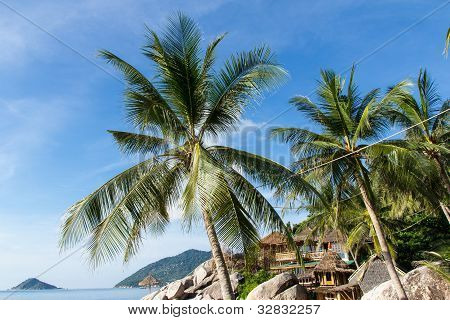 Kolme Coconut Beach