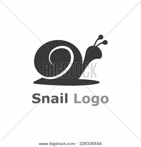 Snail Logo Template Vector Icon Illustration