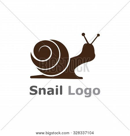 Snail Logo Template Vector Icon Illustration