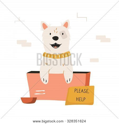 Homeless Dog Sitting In A Cardboard Box