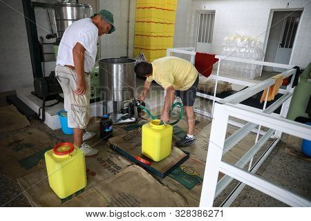 Cyprus, Kyrenia - October, 2019: The Process Of Producing Olive Oil In A Modern Oil Mill In Northern