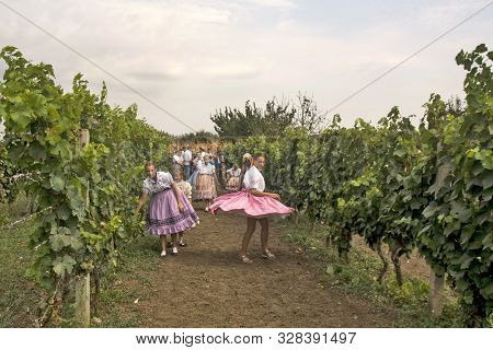 Aradac, Serbia, September 07, 2019. Traditional Celebration Of The Beginning Of Grape Harvesting Tha