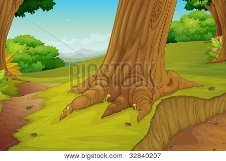 Abbildung von einem Wald Szene Eps Vektor Format auch in mein Portfolio verfügbar.