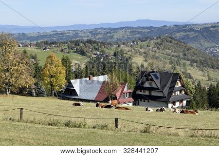 Natural Mountain Rural Landscape. Territory Of Poland. Tatra Mountains. Two Villas And Pasture On Wh