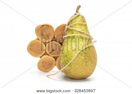 One Whole Fresh Green Pear Conference Tied By Jute Thread On Tree Stump Isolated On White Background