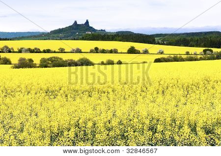 รูปเงาดำของ Trosky ปราสาท