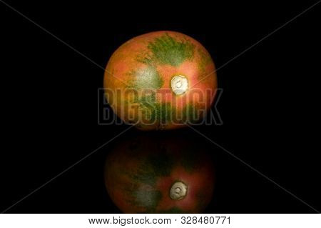One Whole Fresh Tomato De Barao Isolated On Black Glass