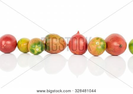 Group Of Seven Whole Fresh Tomato De Barao Isolated On White Background