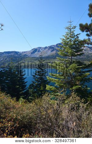 Recient Study Indicates That The Sierra Nevada Mountain Range Is A Young 40 Million Years Old.