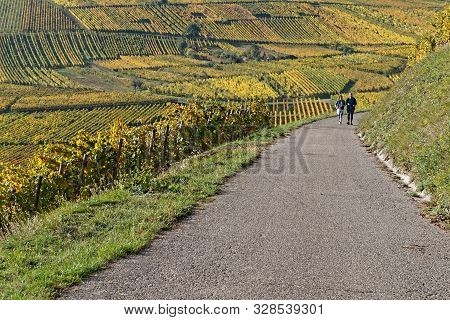 Niedermorschwihr, France, October 12, 2019 : Couple Walks On A Small Road Among The Vineyards Of Als