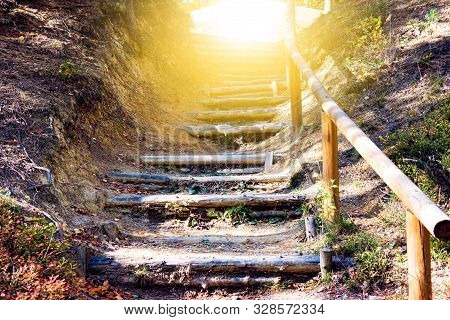 Walk Into Light  .  Stairs In Autumn Park .  Way To Heaven . Stairs In Sky . Religion For The Person