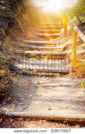 Walk Into Light  .  Stairs In Autumn Park .  Way To Heaven . Stairs In Sky . Religion For The Person