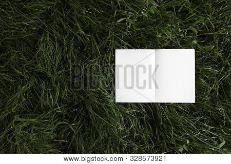 Notebook With White Sheets. An Open Notebook With White Sheets Lies On The Grass. Mockup Background.