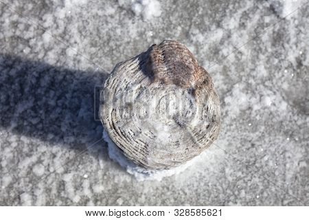Salt Lake With Mud Baths. Treatment In A Salt Lake. Sanatorium. Wooden Posts For Salt Mining