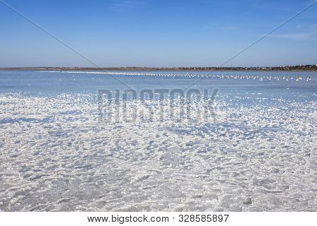 Salt Lake With Mud Baths. Treatment In A Salt Lake. Sanatorium. Wooden Posts For Salt Mining.