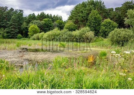 Kaluga, Russia - August 2017: Nature Monument 