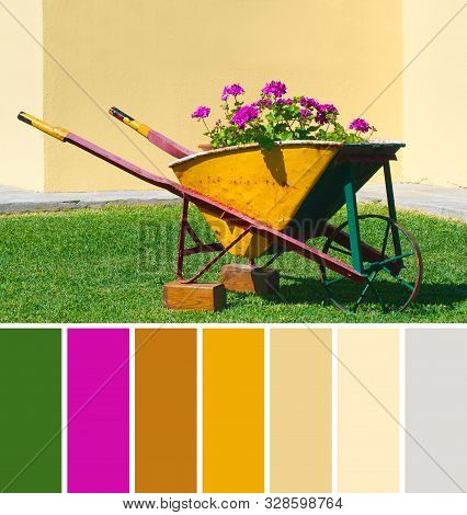 Color Matching Palette From Close-up On Decorative Vintage Wheelbarrow With Magenta Geranium Flowers