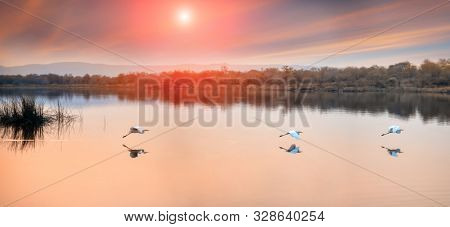 Sunset at the lake in Africa, by the Gaborone dam in Botswana