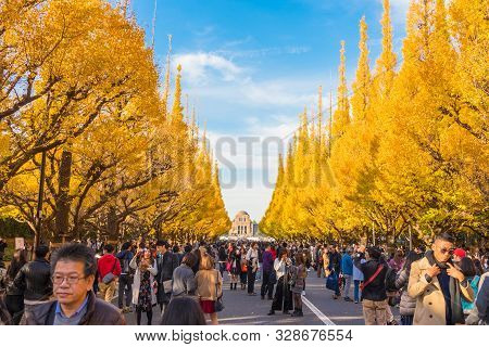 Tokyo, Japan : Nov 25 , 2017 : People Visit Ginkgo Avenue In Tokyo. Colorful Yellow Ginko Leaves Bra