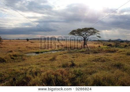 Pianure africane