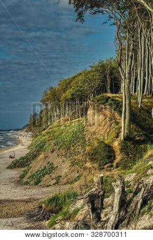 Deciduous Forest And Vegetation Of The Baltic Cliff Coast Near Ustka In Poland